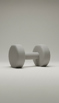 Stone Grey Dumbbells Set